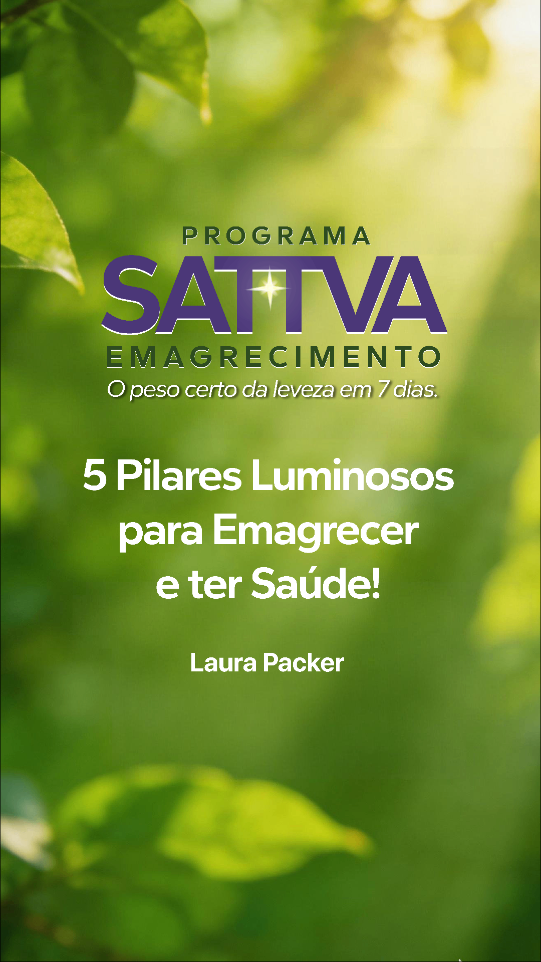6 Aulas Gravadas